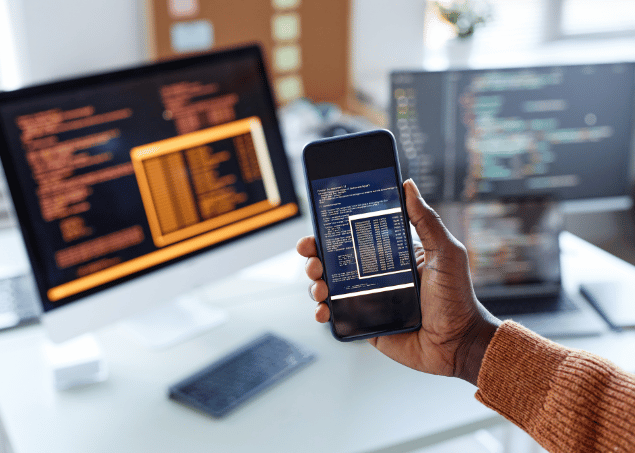 Vulnerability & Penetration Testing