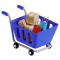 E-commerce Website Development